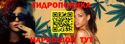 стаф Берёзовский