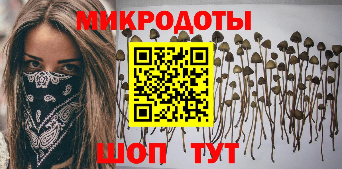 Псилоцибиновые грибы мицелий Братск
