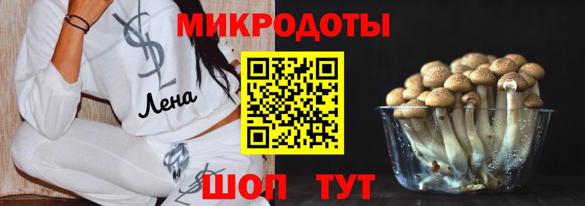 Галлюциногенные грибы Psilocybine cubensis  Псилоцибиновые грибы Psilocybine cubensis  Братск 