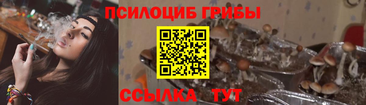 Псилоцибиновые грибы ЛСД Братск