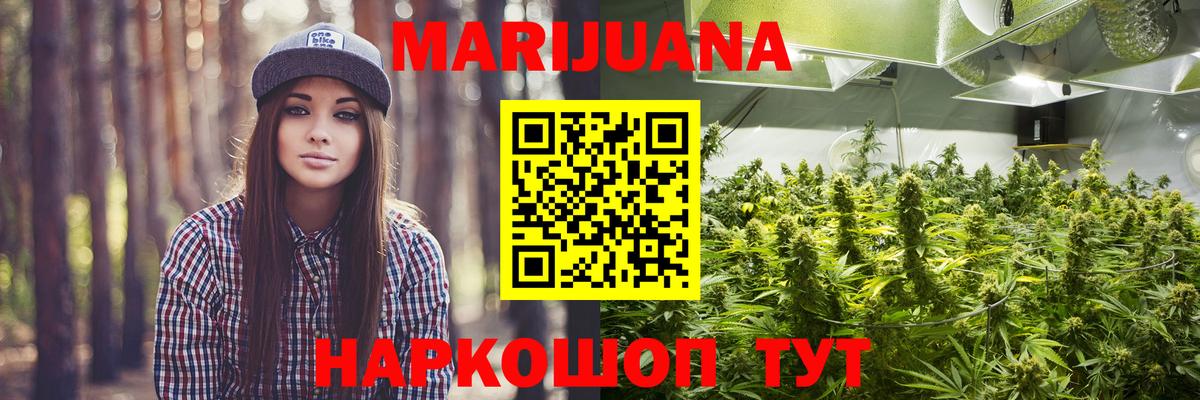 Конопля Ganja  Канабис Ganja  Братск  Канабис VHQ 